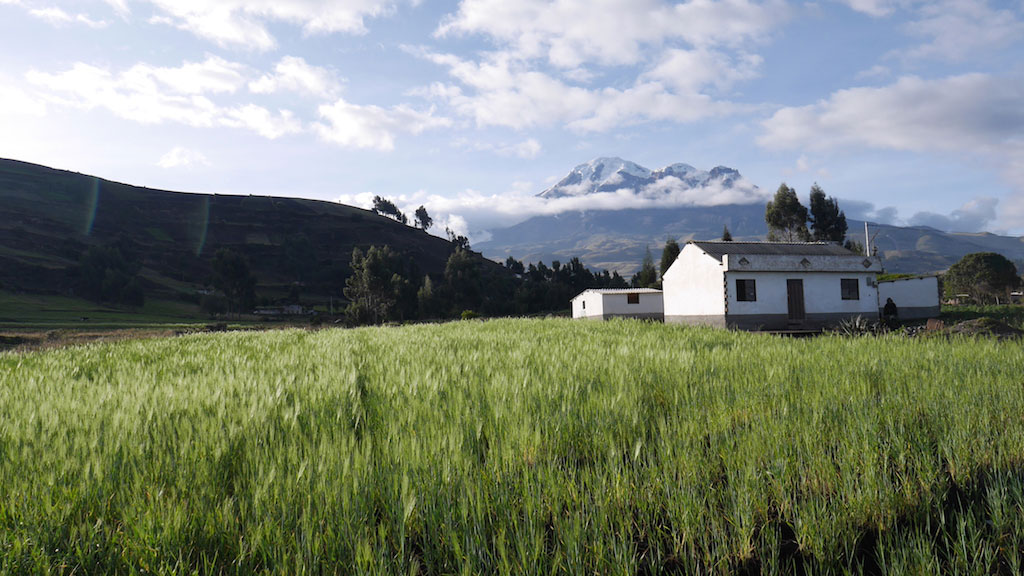 The andes & the volcanoes alley