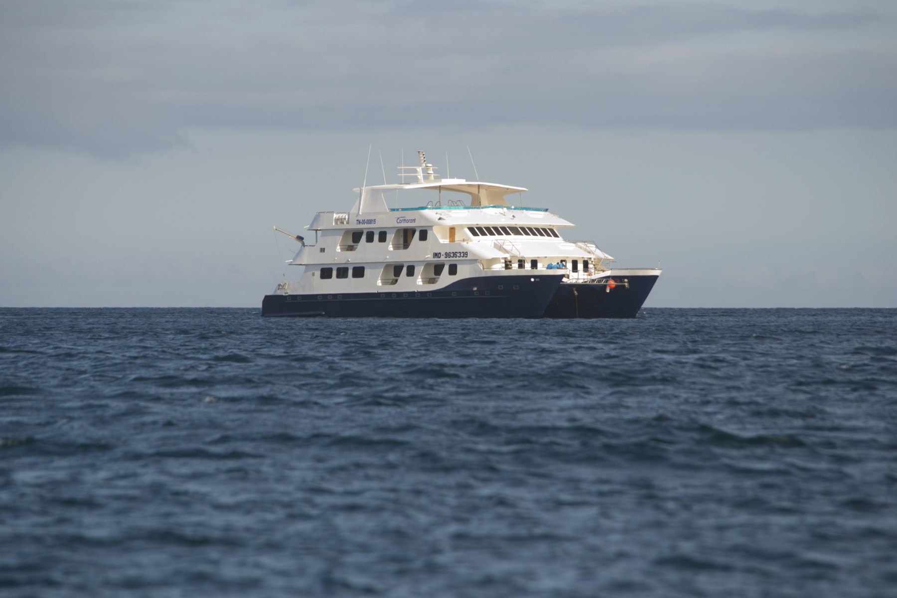 cormorant, luxe, cruise, galápagos