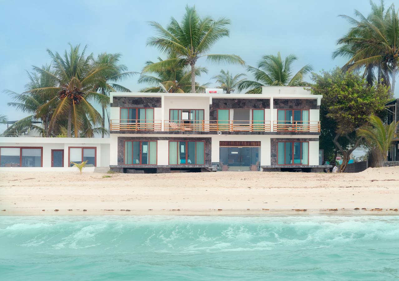 Hotel, Cormorant, beach, house, galápagos, itk