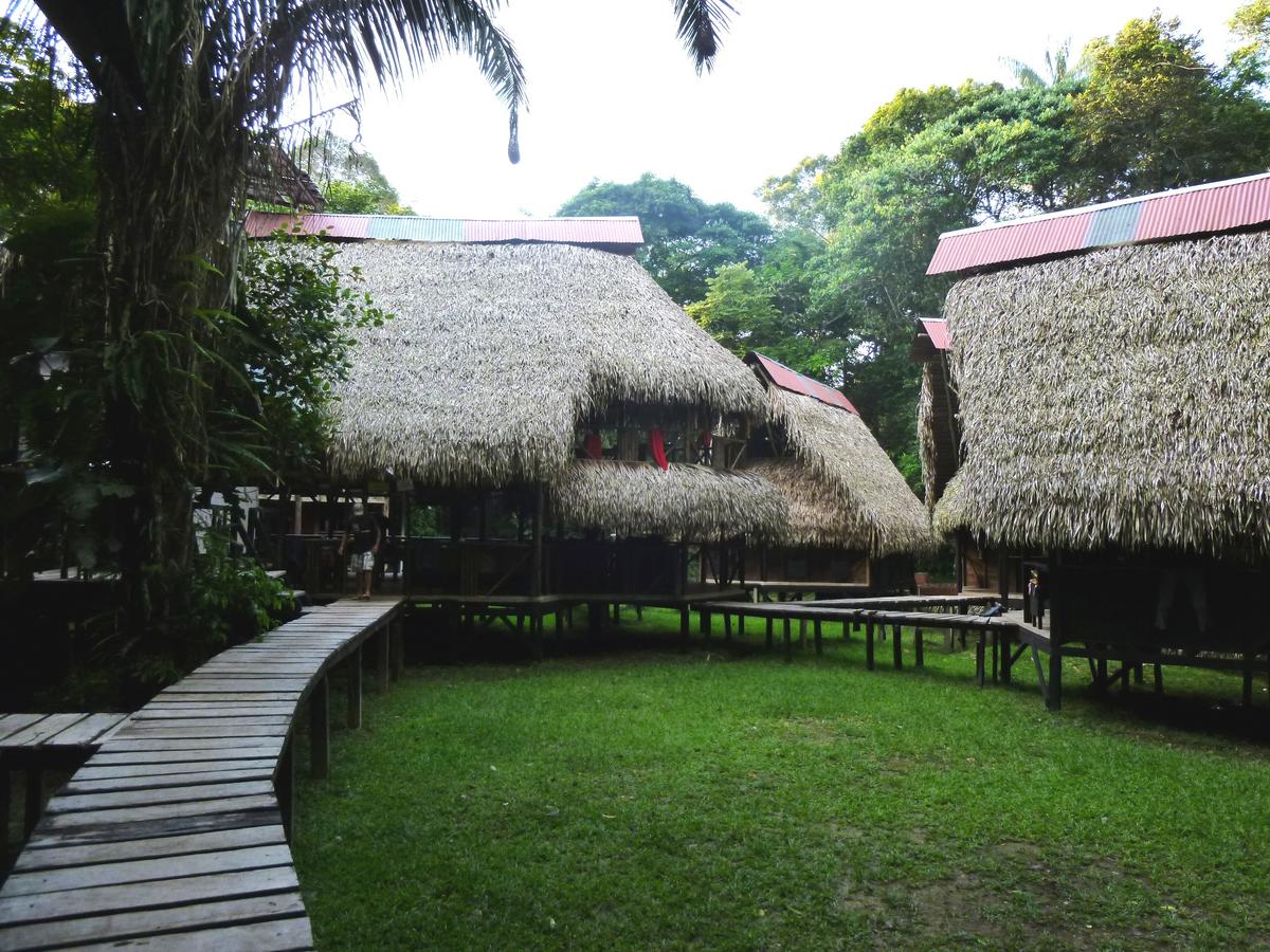 Jamu, Lodge, Amazon, Rainforest, Ecuador