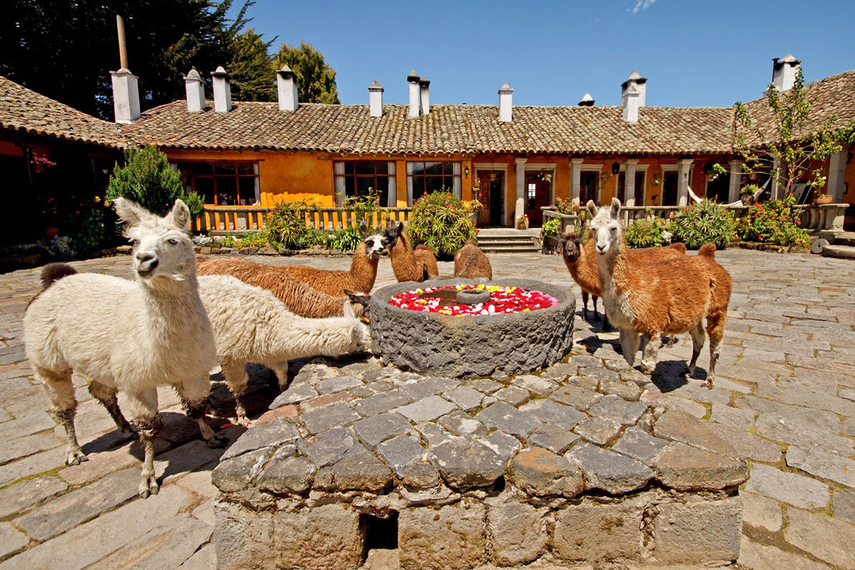 Hacienda, San Agustín, cotopaxi, ecuador, itk