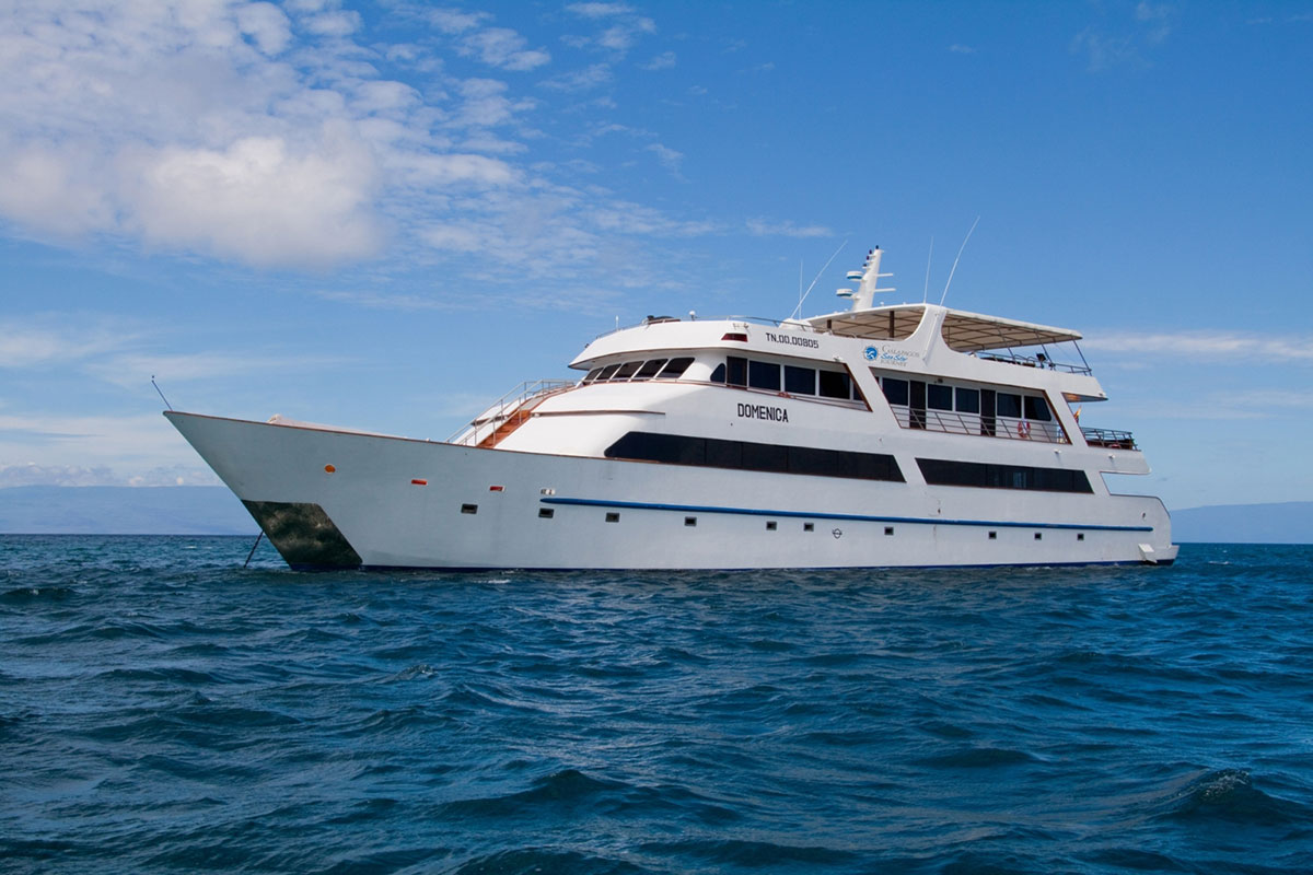 sea-star-cruise-luxe-galapagos, photo