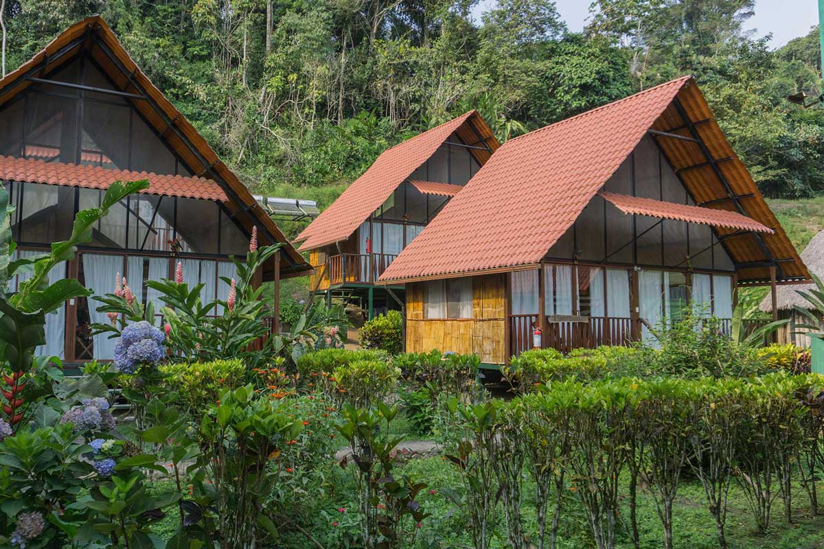 Yacuma, Lodge, Ecuador, Amazon, Rainforest