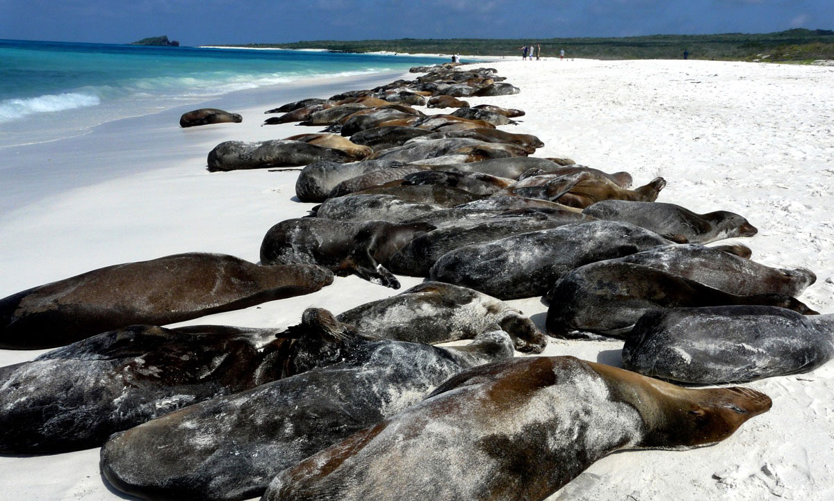 Española, island, galápagos, archipelago, description