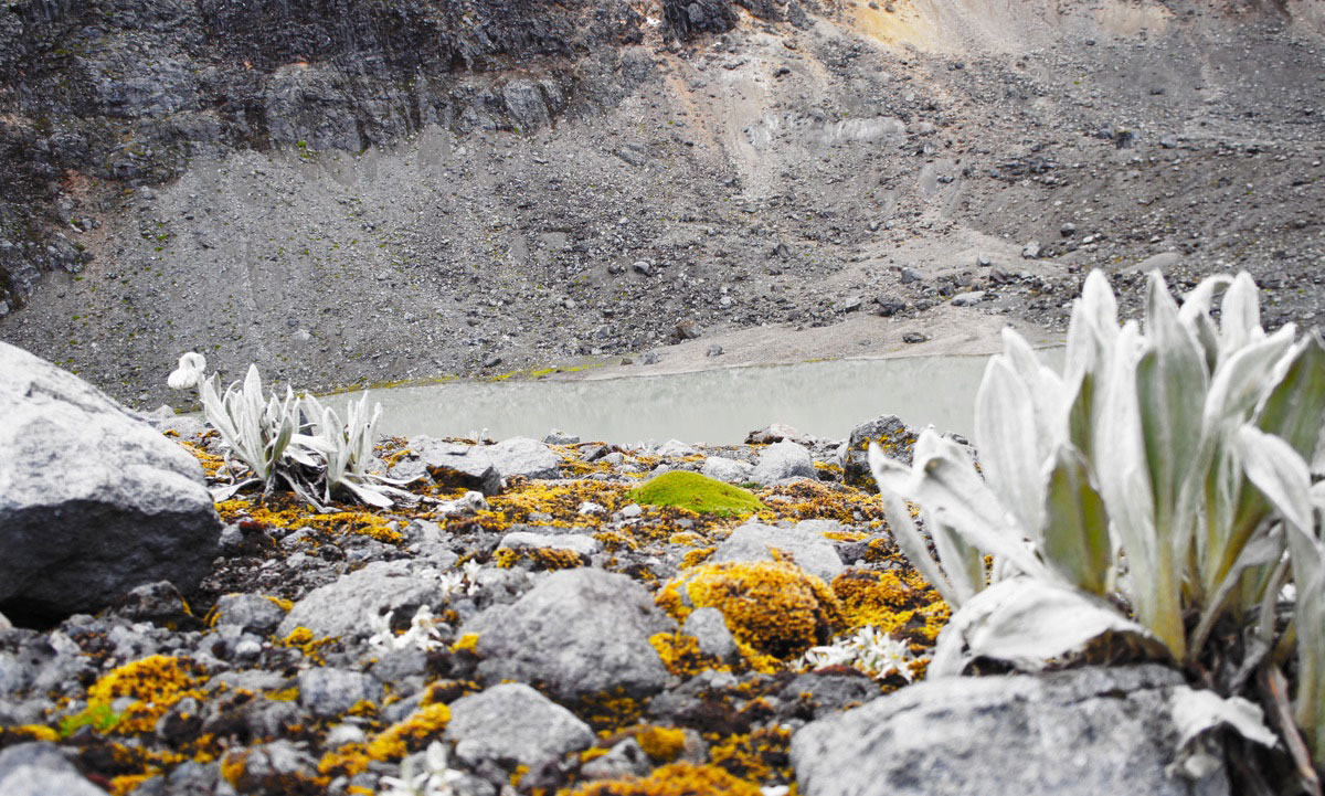 cajas, national, park, itk, travel