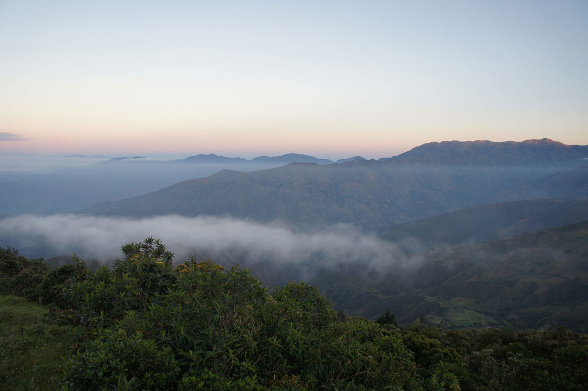 podocarpus, national, park, ecuador,, itk, voyage, facts, location