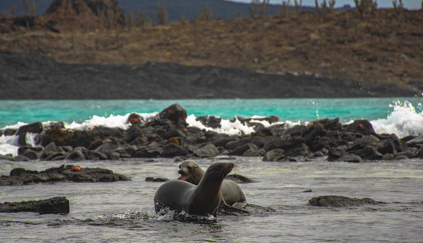 Galapagos - Ecuador - Main photo