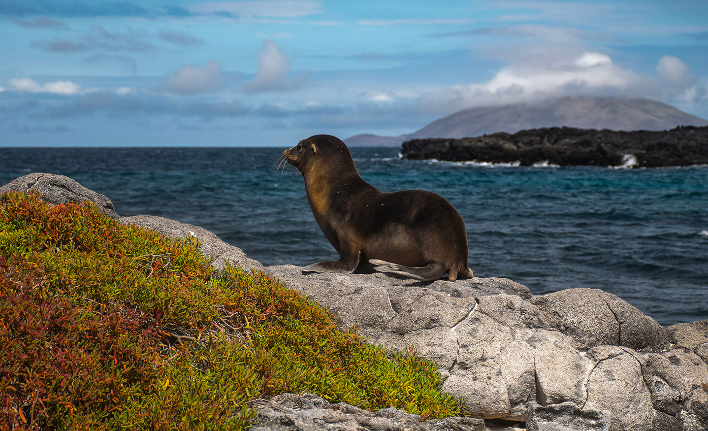 Galapagos Islands