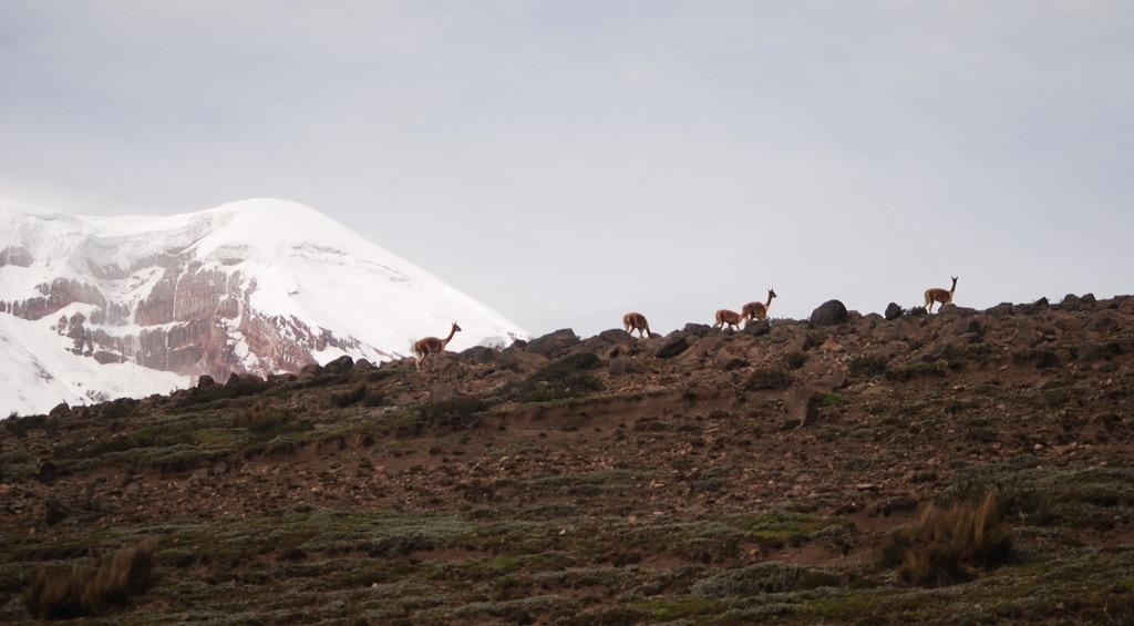 ecuador, picturesque, south, tour, itk, voyage, authentic, travels, photo