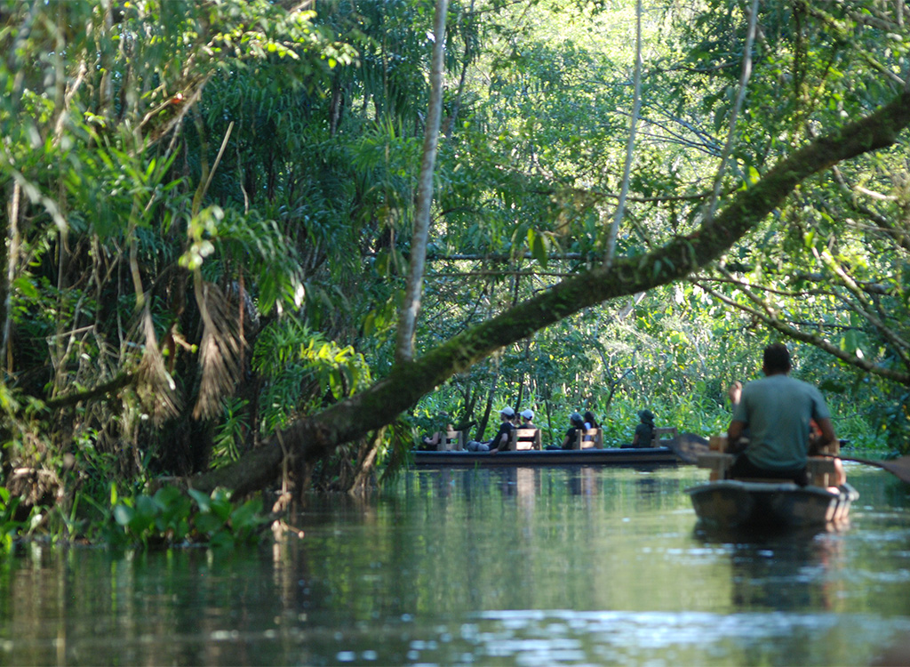 Quest to the amazon rainforest itk voyage Ecuador