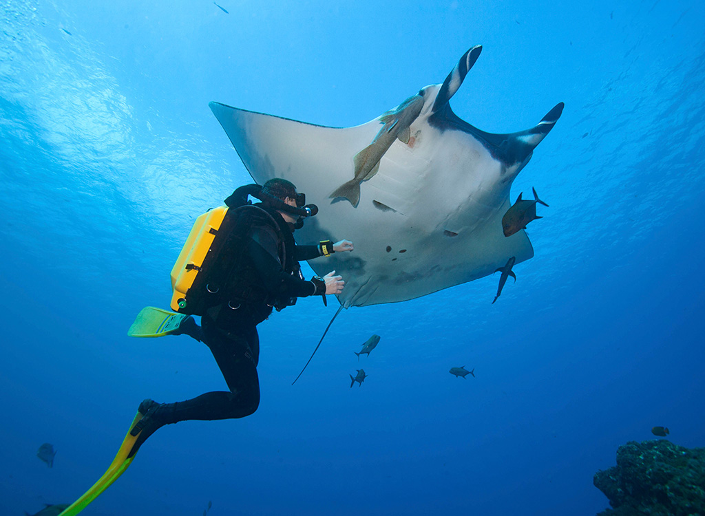 galaxy diver rays cruise itk voyage ecuador