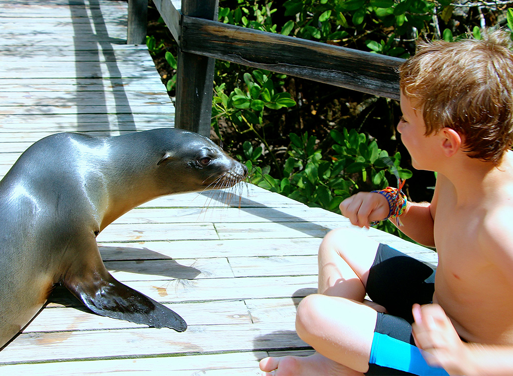 Galapagos, itk, voyage, ecuador, photo