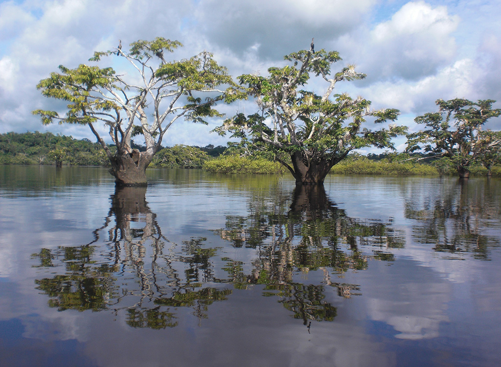 itk voyage ecuador national parks and reserves